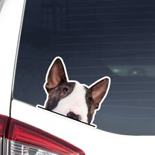 Adesivo Peeking Bull Terrier auto decalcomania vinile paraurti testa cane impermeabile