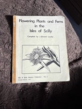 Flowering Plants And Ferns In