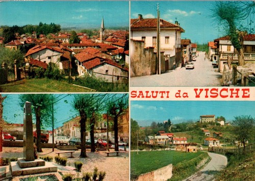 Torino vische vedutine - vische,