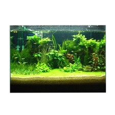 Un lato acquario sfondo poster