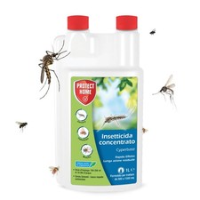 Protect Home Cyperbase