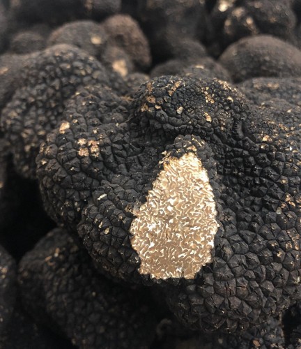200 tartufo nero estivo - gr,