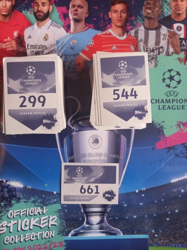 Champions league stickers - champions,