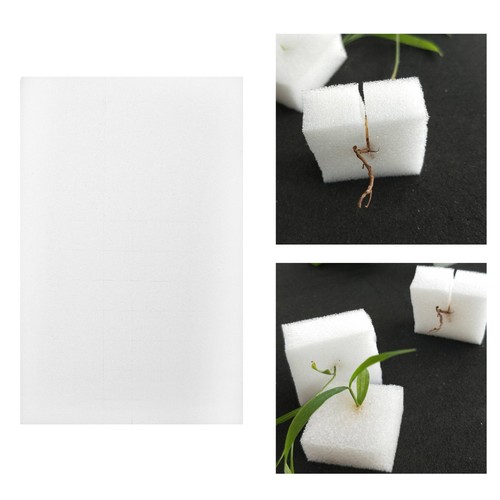 Sheet complementi da - 2,