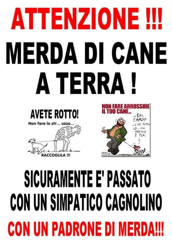 Stampa 20x30 30x40 - 20x30, cm