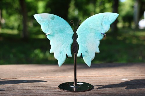 Coppia farfalla amazzonica - 4'',