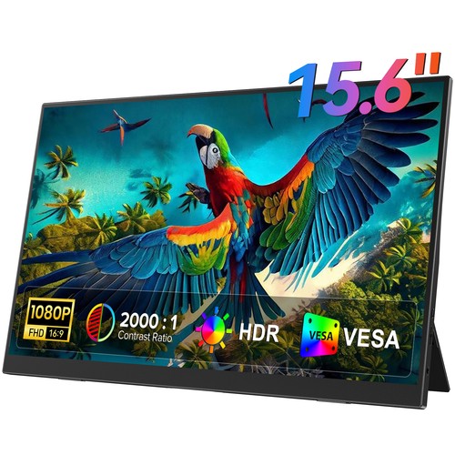 Display monitor portatile - , 15,6
