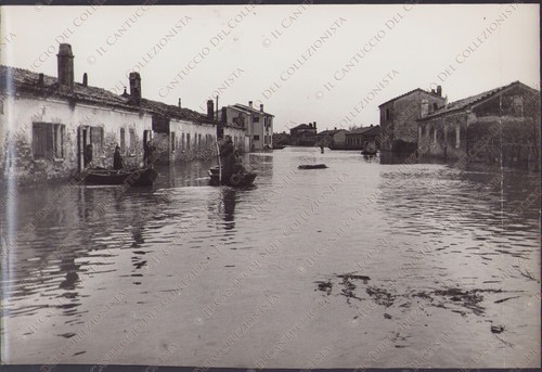 1957 polesine camerini - polesine,