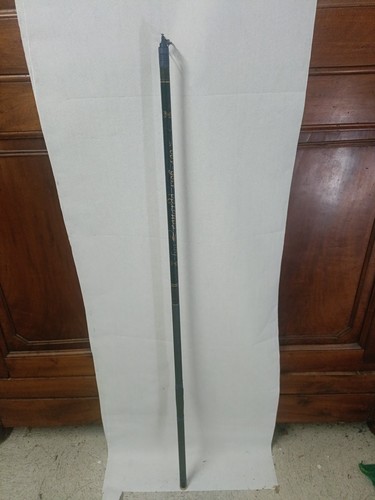 Canna trota lago cmps - canna,