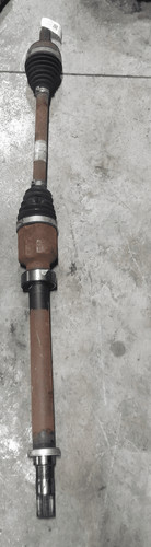 Semialbero ant compl dx - semialbero, compl.