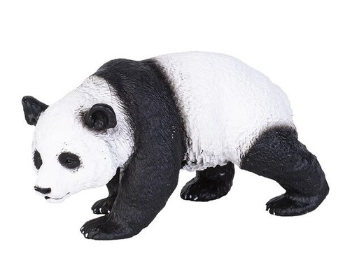 Panda gigante animale