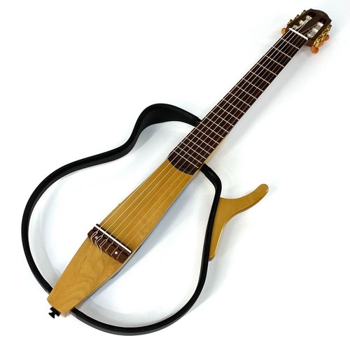 Chitarra acustica elettrica