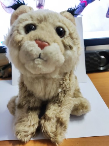 Peluche lince seduta - peluche,
