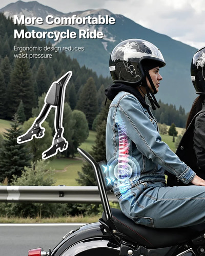 Motorcycle backrest sissy bar - backrest,