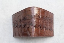 Brown Real Crocodile Alligator