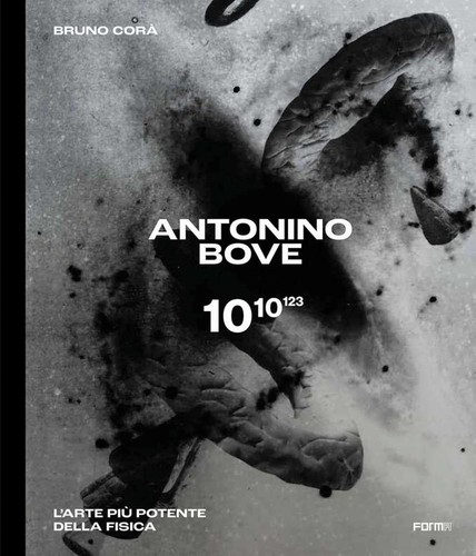 Antonino bove forma 2022 - bove,,