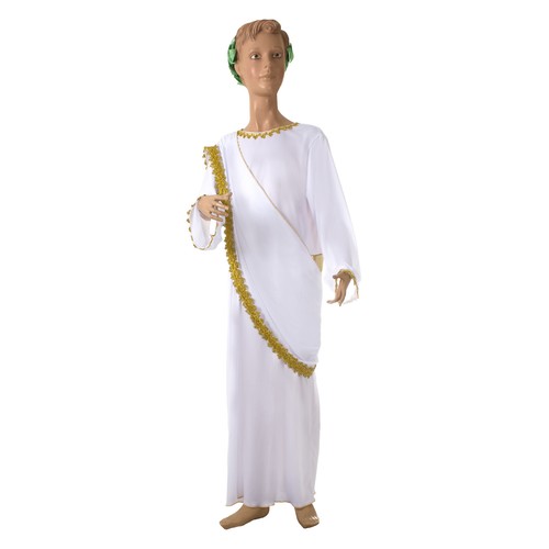 Costume travestimento virgilio - costume,