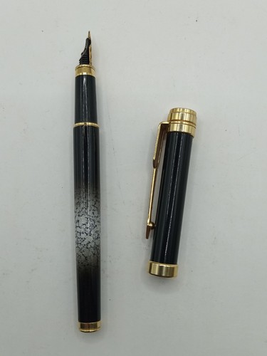 Penna stilografica iridium - penna,