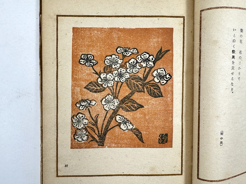 Libro xilografia giapponese