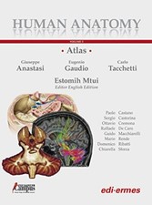 Human anatomy multimedial - human,