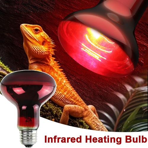 Lampada termica infrarossi