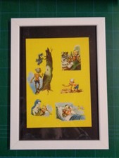 PINOCCHIO, FATA DAI CAPELLI