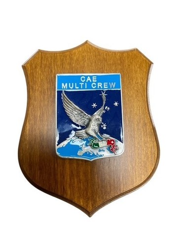 Crest quadretto aeronautica - quadretto,