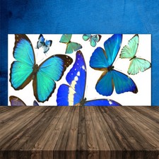 Paraschizzi Retrofornelli