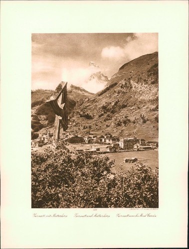 Stampa profonda rame corno - in, rame: