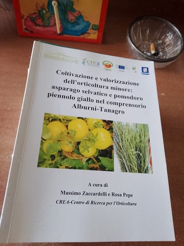 Coltivazione valorizzazione - coltivazione, e