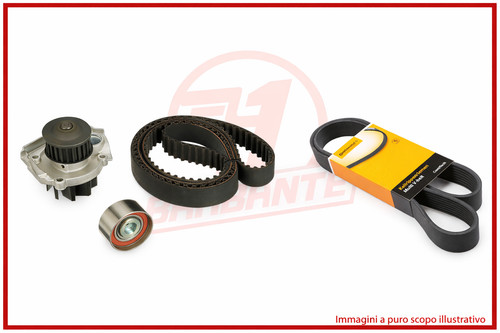 Kit distribuzione pompa - kit,