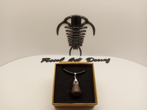 Fossil wood pendente - pendente, goccia