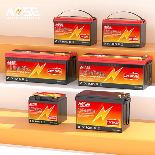 Batteria litio 12v - 12v/24v, 50ah