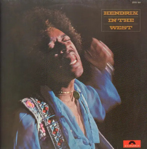 Jimi hendrix the - in,
