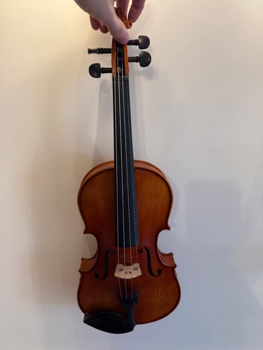 Violino hidersine vivente full - vivente,