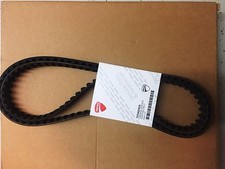 Cinghie distribuzione ducati