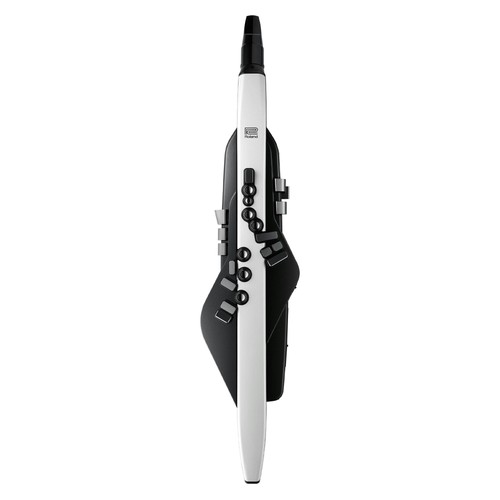Roland aerophone ae20 - aerophone,