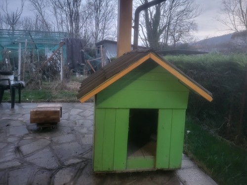 Regalo cuccia per cani - regalo,