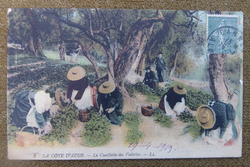 Cpa côte d - -, 06