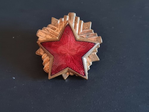 Militaria spilla bavero - spilla, da