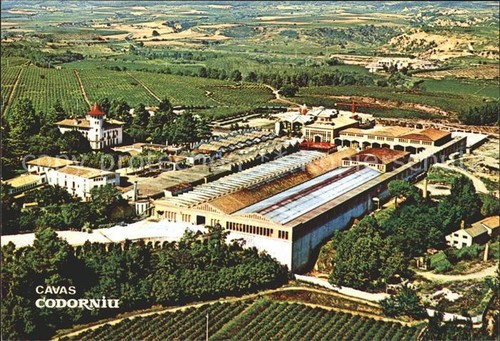 Codorniu ripresa aerea cavas - codorniu,