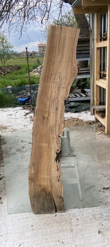 Tavola legno ulivo - legno, 173