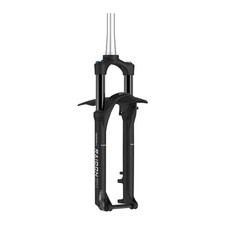 forcella aria raidon34 29 disc