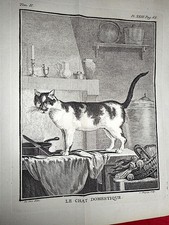 BUFFON Histoire naturelle