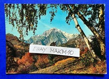 🔵CARTOLINA FOTO ALTA VALLE