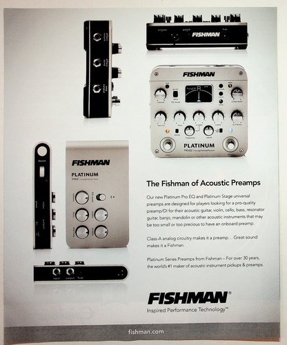 Fishman platinum pro - pro, stage