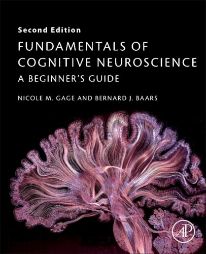 Fundamentals cognitive - fundamentals,