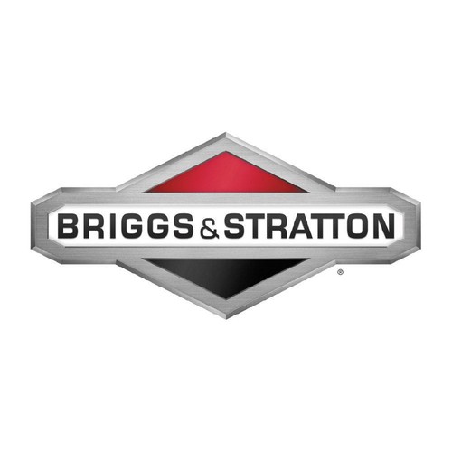Briggs stratton 316813gs - &,