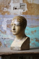 Busto frenologico in gesso XIX