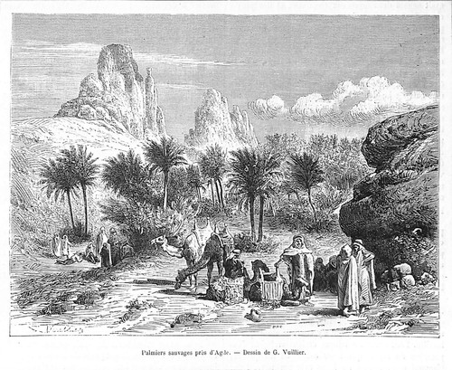 Arabie saoudite saudi arabia - arabie,